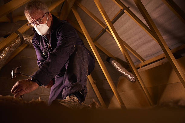 Best Commercial Insulation in Blasdell, NY